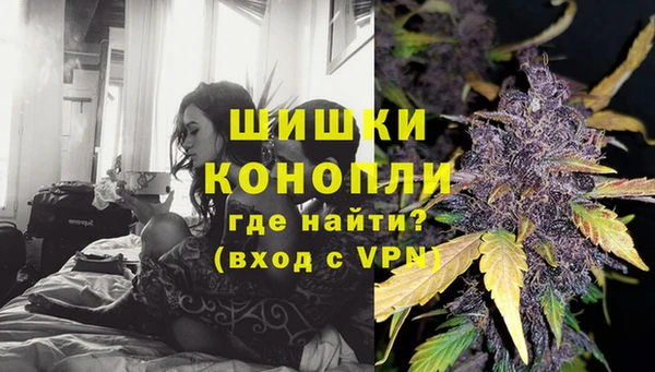 тгк Медногорск