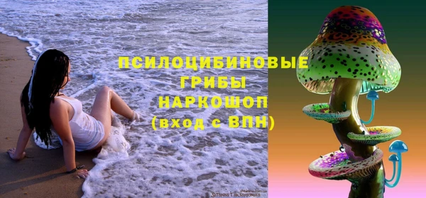 скорость Медвежьегорск