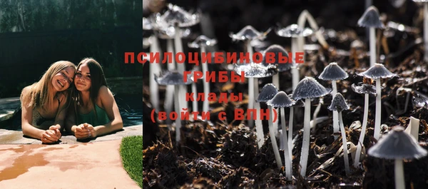 скорость Медвежьегорск