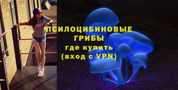 тгк Медногорск