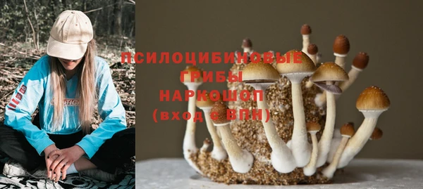 скорость Медвежьегорск