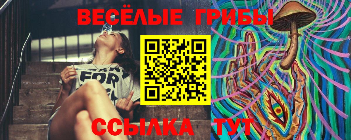 Галлюциногенные грибы Cubensis  Вход с VPN  Дзержинский 